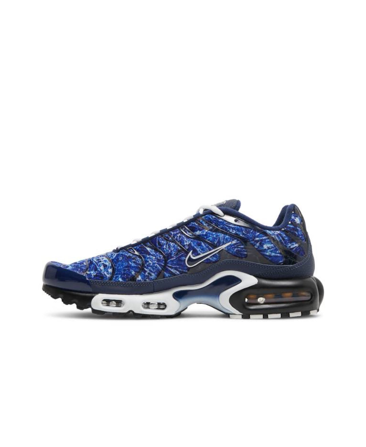 Nike Air Max Plus Blue